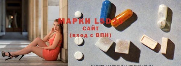 винт Алзамай